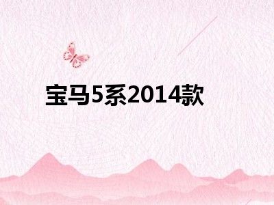 宝马5系2014款