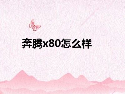 奔腾x80怎么样