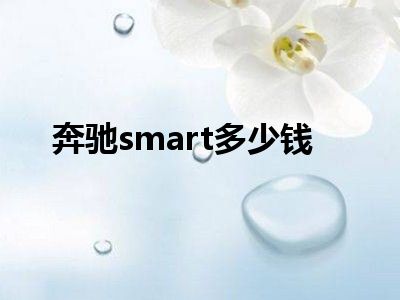 奔驰smart多少钱