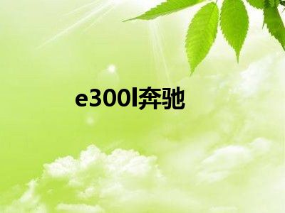 e300l奔驰