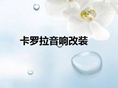 卡罗拉音响改装
