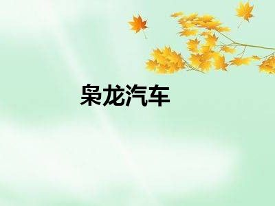 枭龙汽车