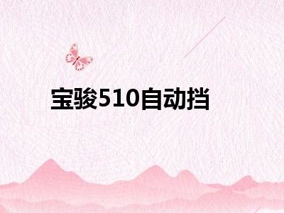 宝骏510自动挡