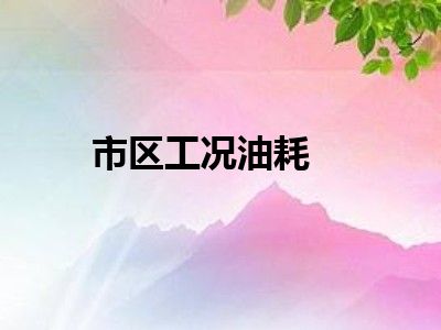 市区工况油耗