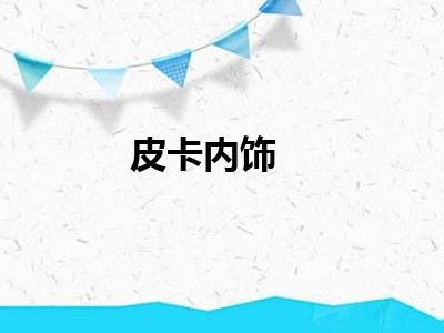 皮卡内饰