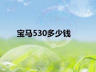 宝马530多少钱