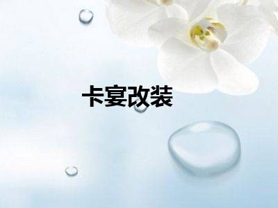 卡宴改装