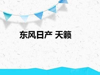 东风日产 天籁