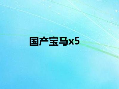国产宝马x5