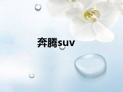 奔腾suv