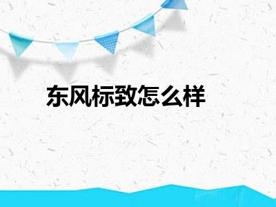 东风标致怎么样