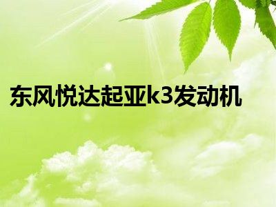 东风悦达起亚k3发动机