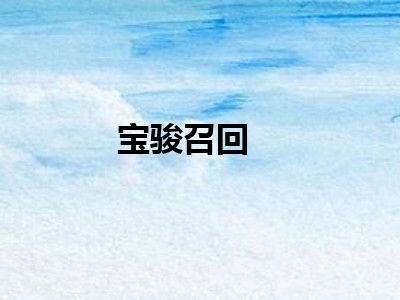 宝骏召回