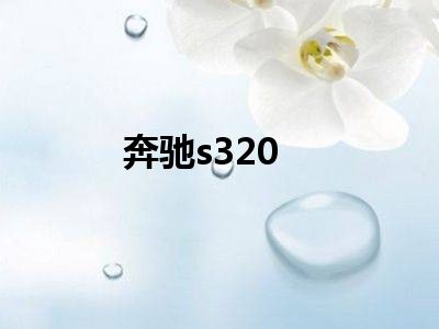 奔驰s320