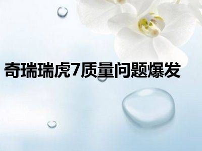 奇瑞瑞虎7质量问题爆发