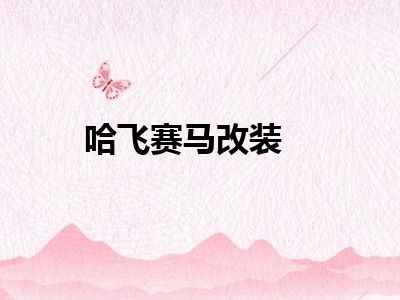 哈飞赛马改装