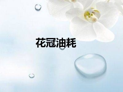 花冠油耗