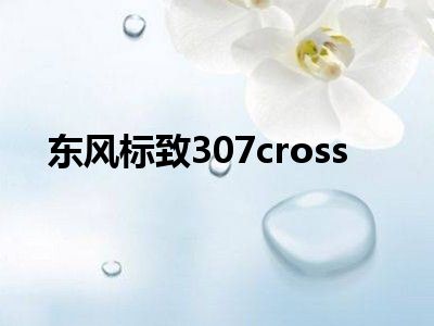东风标致307cross