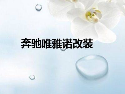 奔驰唯雅诺改装