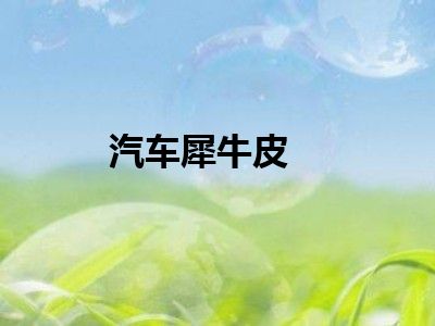 汽车犀牛皮