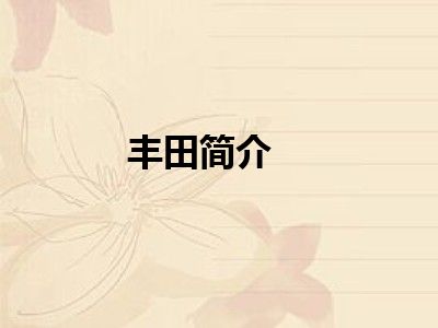 丰田简介