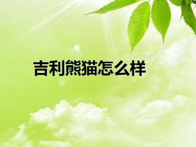 吉利熊猫怎么样