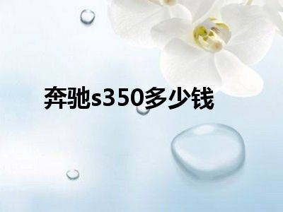奔驰s350多少钱