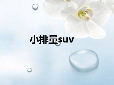 小排量suv