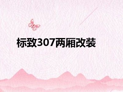 标致307两厢改装