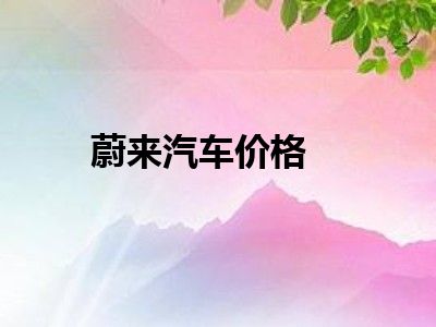 蔚来汽车价格