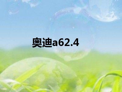 奥迪a62.4