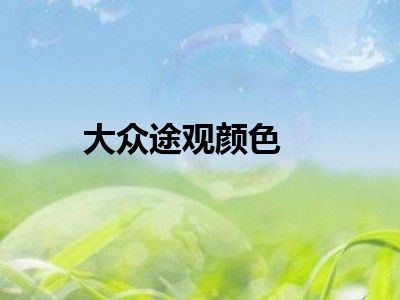 大众途观颜色