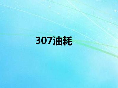 307油耗