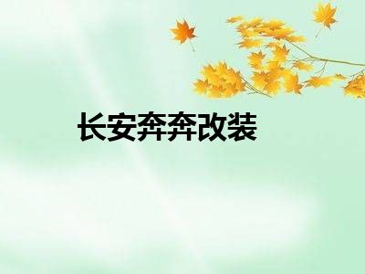 长安奔奔改装