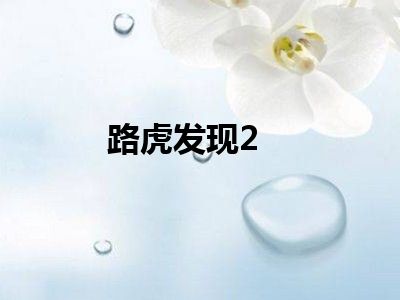 路虎发现2