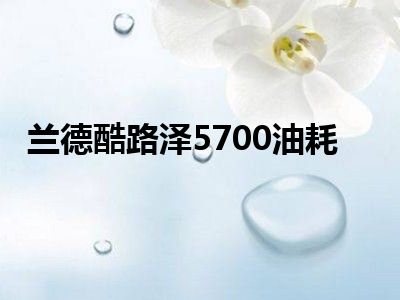 兰德酷路泽5700油耗