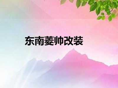 东南菱帅改装