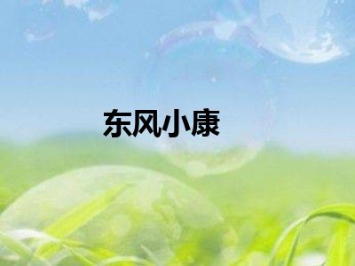 东风小康