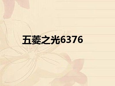 五菱之光6376