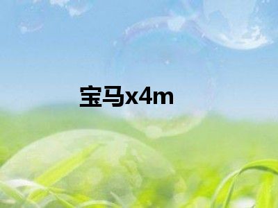 宝马x4m