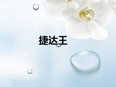 捷达王