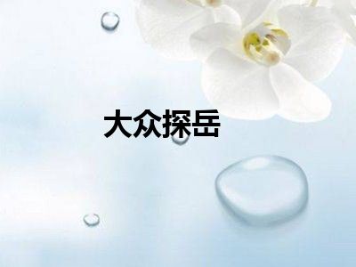大众探岳