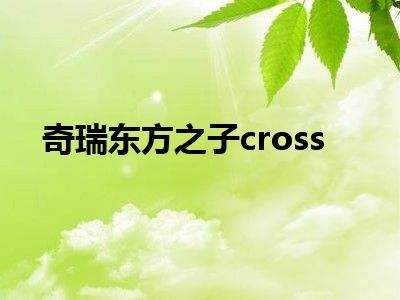 奇瑞东方之子cross
