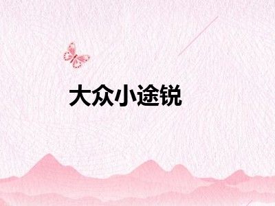 大众小途锐