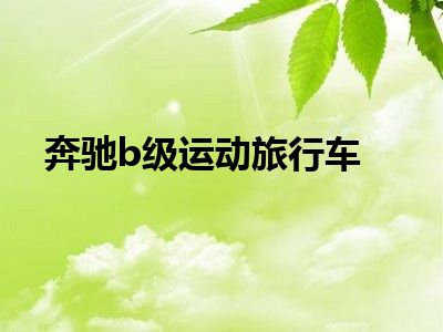 奔驰b级运动旅行车