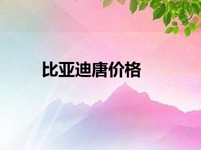 比亚迪唐价格