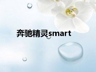 奔驰精灵smart