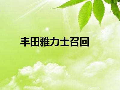 丰田雅力士召回