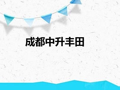 成都中升丰田