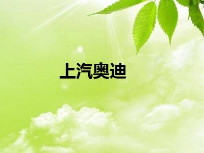 上汽奥迪